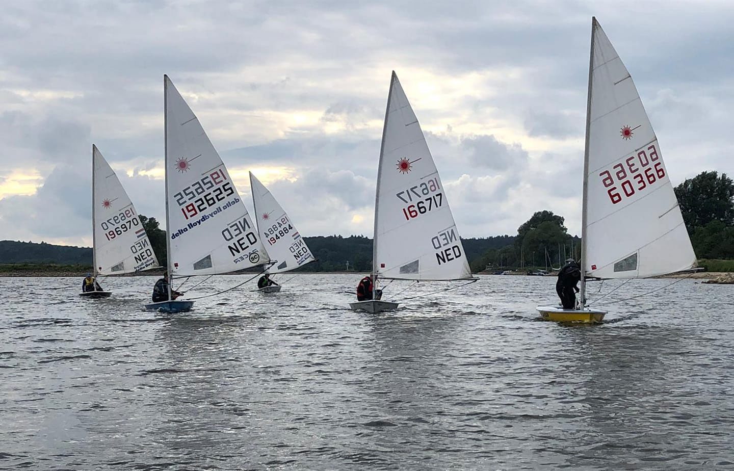 Volwassen-zeilen-oosterbeek